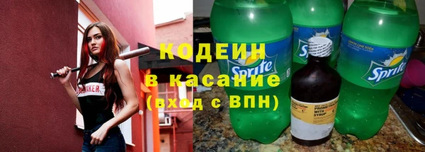 ECSTASY Алзамай