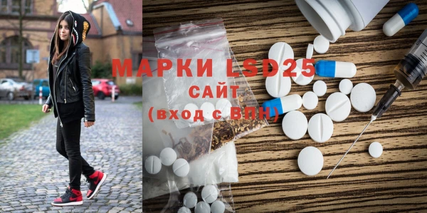 ECSTASY Алзамай
