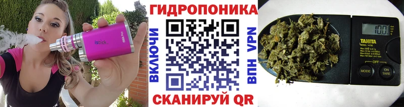 omg ссылки  Липки  Бошки марихуана OG Kush 